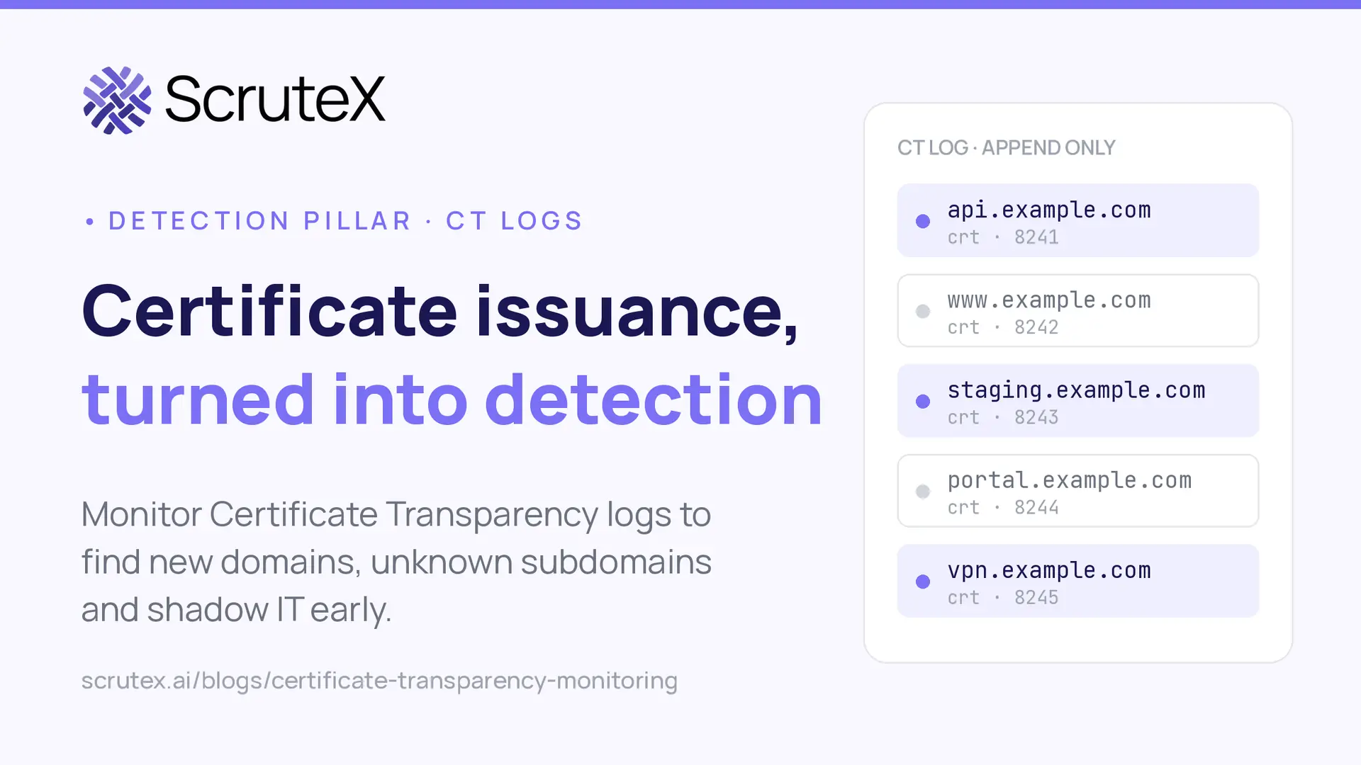 Certificate Transparency Monitoring: Find New Domains and Subdomains
